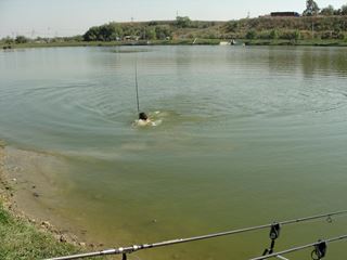 Floarea Popestiului 7 - 7 oct.